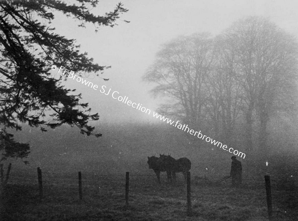 PLOUGHING NEAR DAIRY HILL